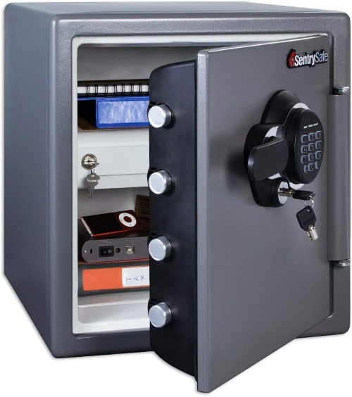 SentrySafe Fireproof and Waterproof Steel Home Safe