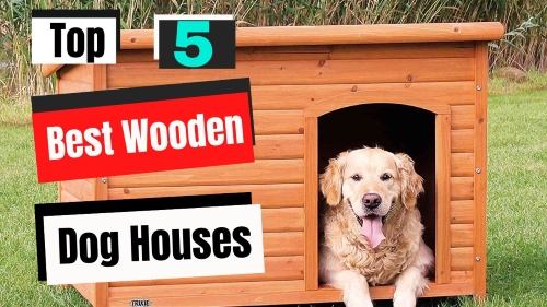 Top 5 best wooden dog house