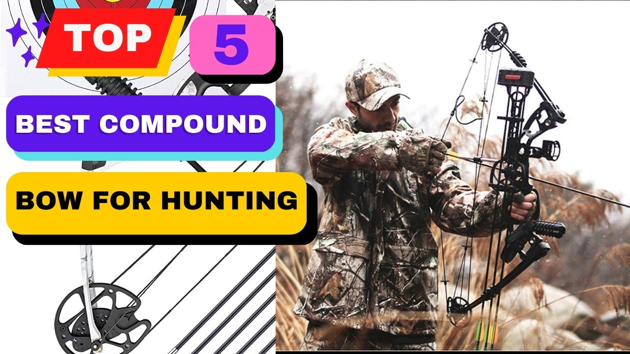 Top 5 Best Compound Bow For Hunting
