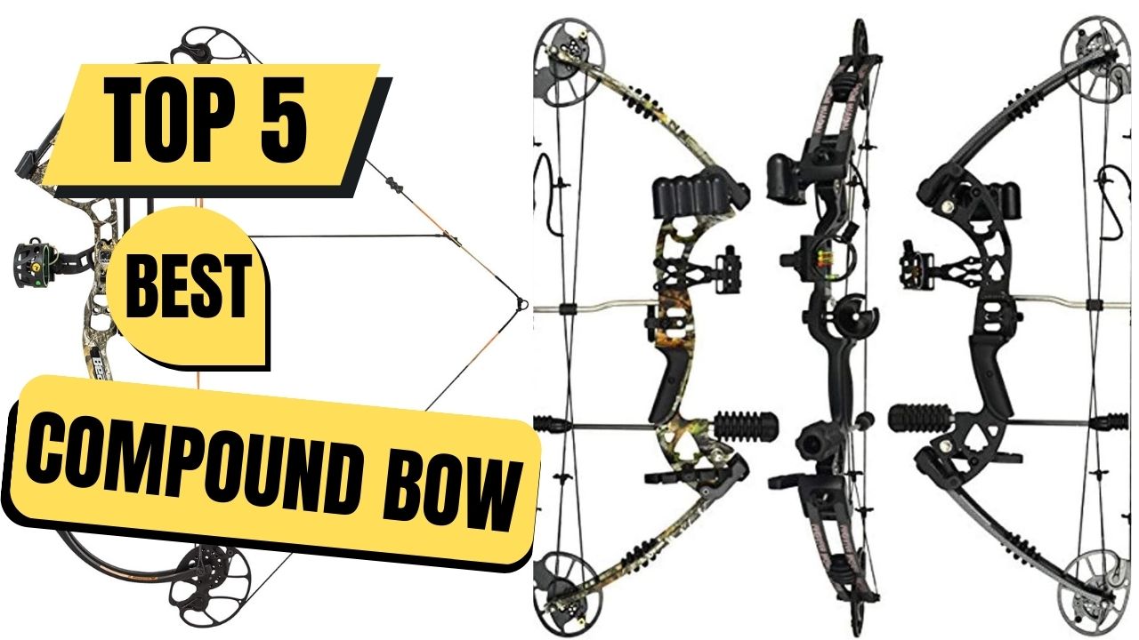 Top 5 Best Compound Bow