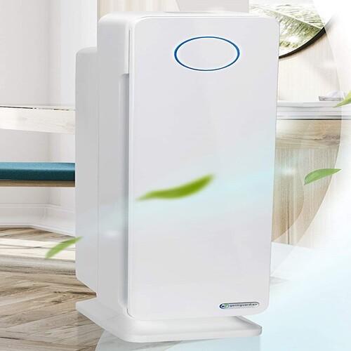 Best Air Purifier For Mold