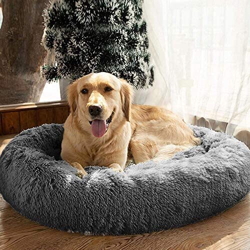 Best Calming Dog Bed