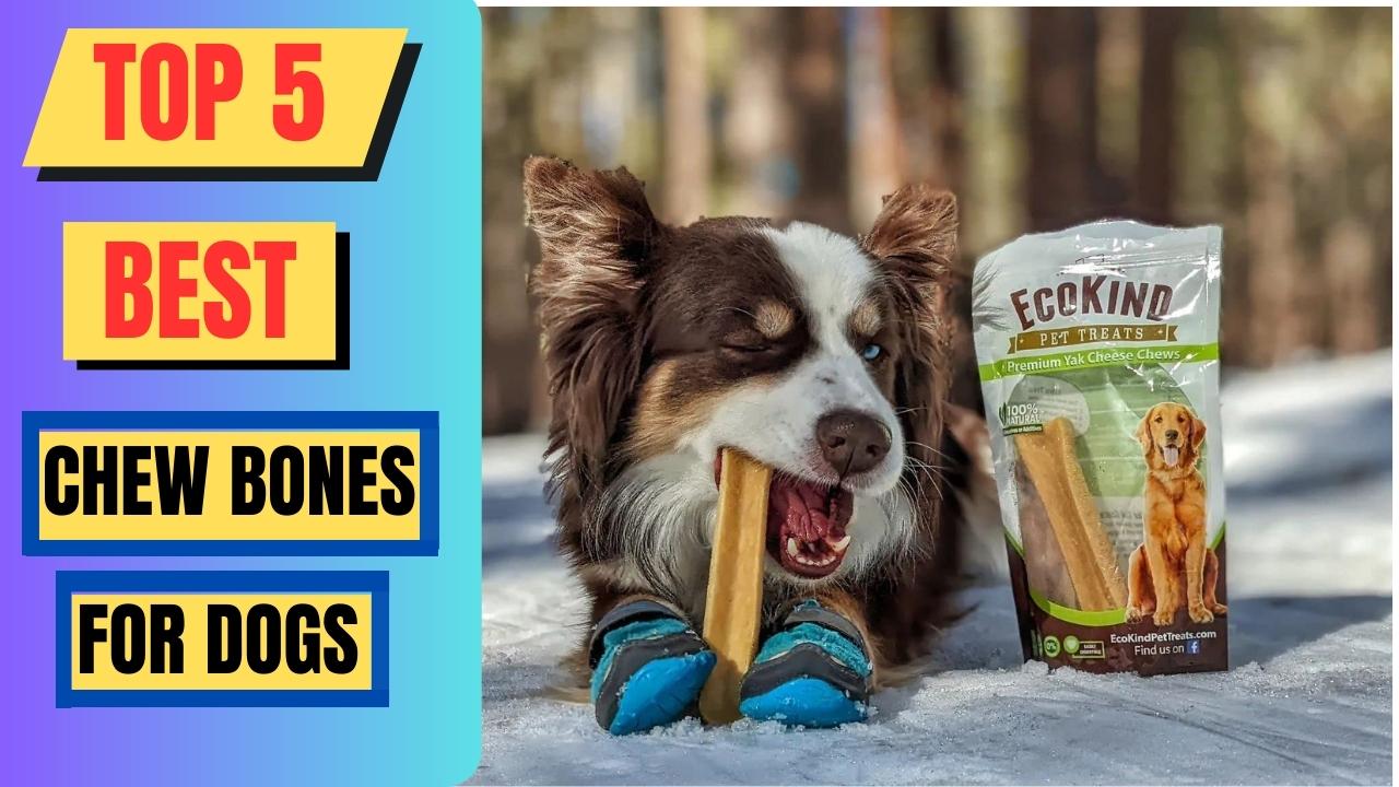 Top 5 Best Chew Bones For Dogs