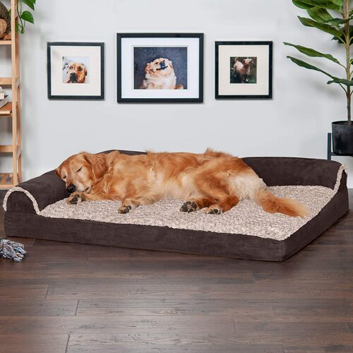 Best Dog Bed For Senior Dogs