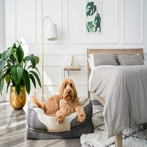 Best Dog Beds For Medium Dogs