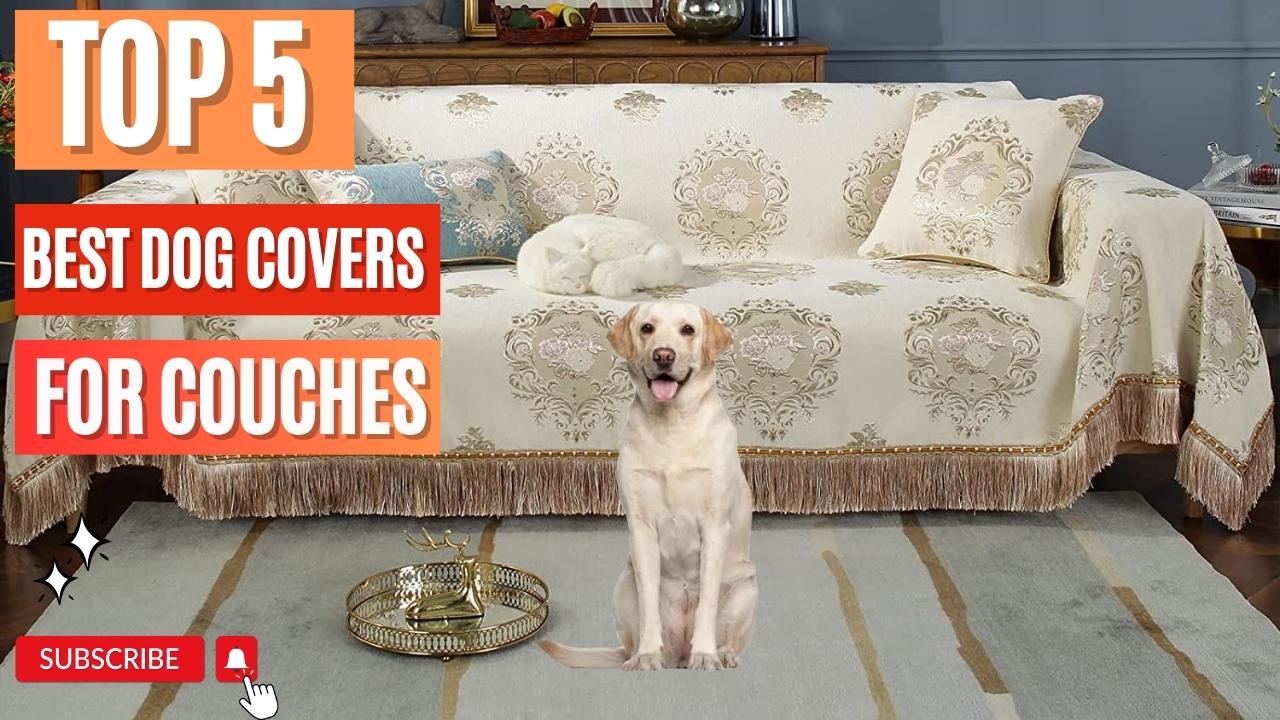 Top 5 Best Dog Covers For Couches