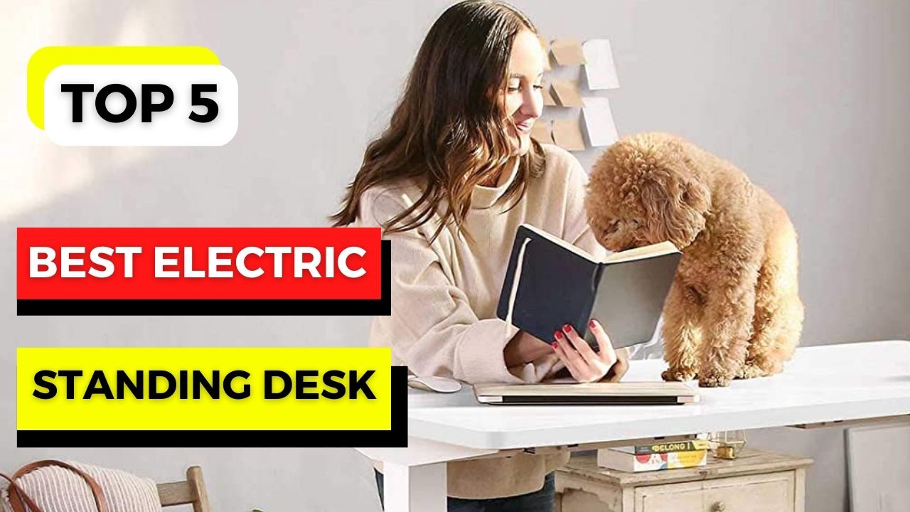TOP 5 Best Electric Standing Desk
