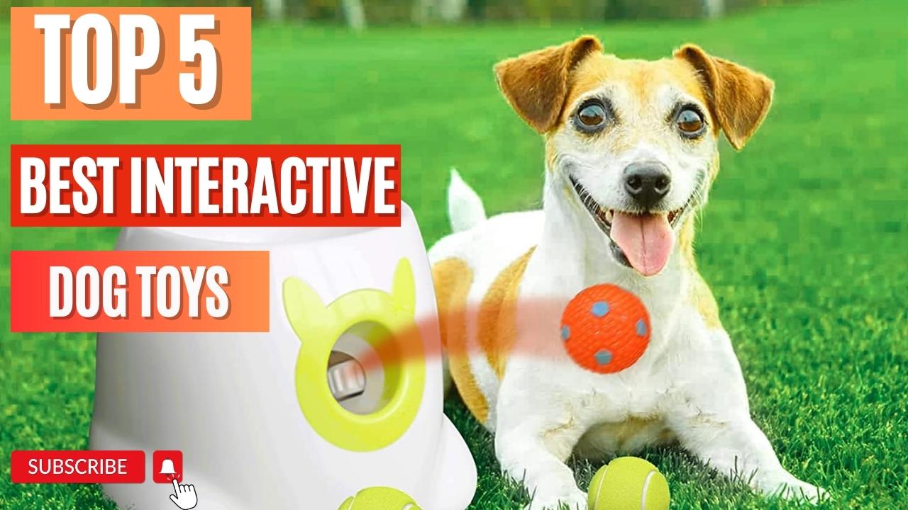 Top 5 Best Interactive Dog Toys