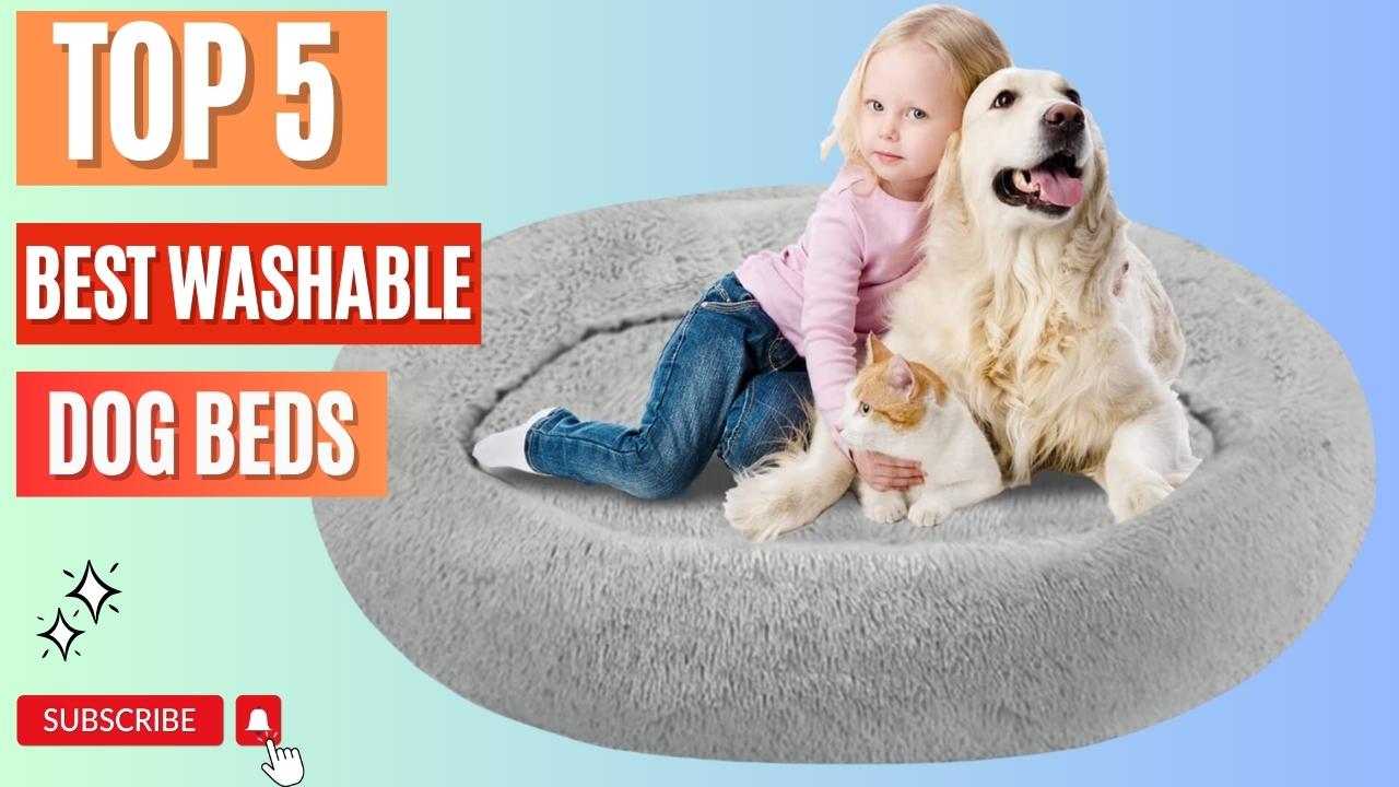 Top 5 Best Washable Dog Beds