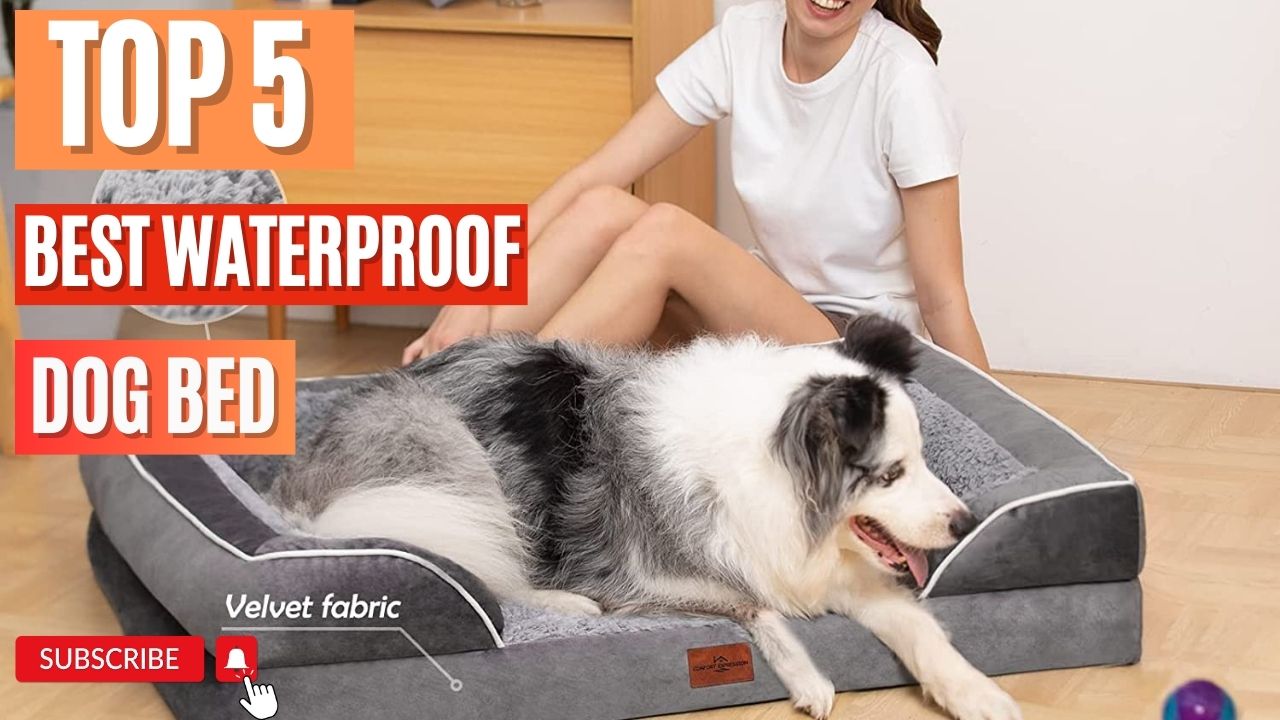 Top 5 Best Waterproof Dog Bed