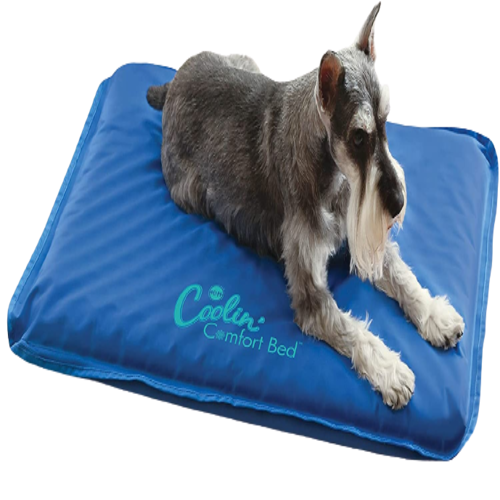 best cooling dog mat