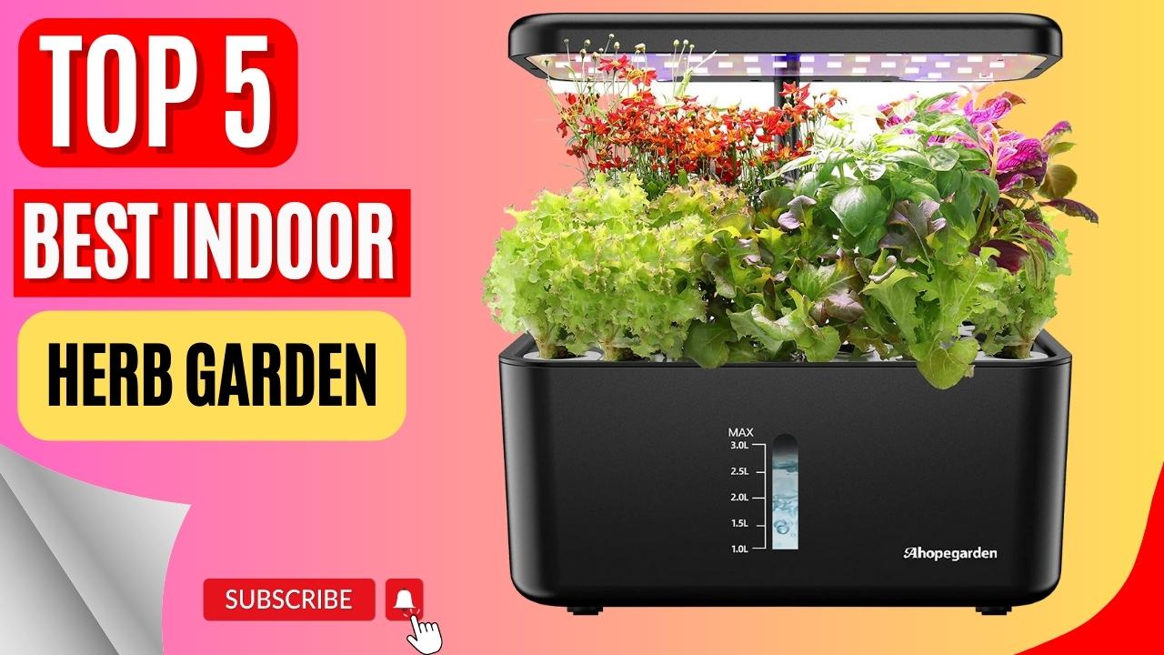 Top 5 Best Indoor Herb Garden