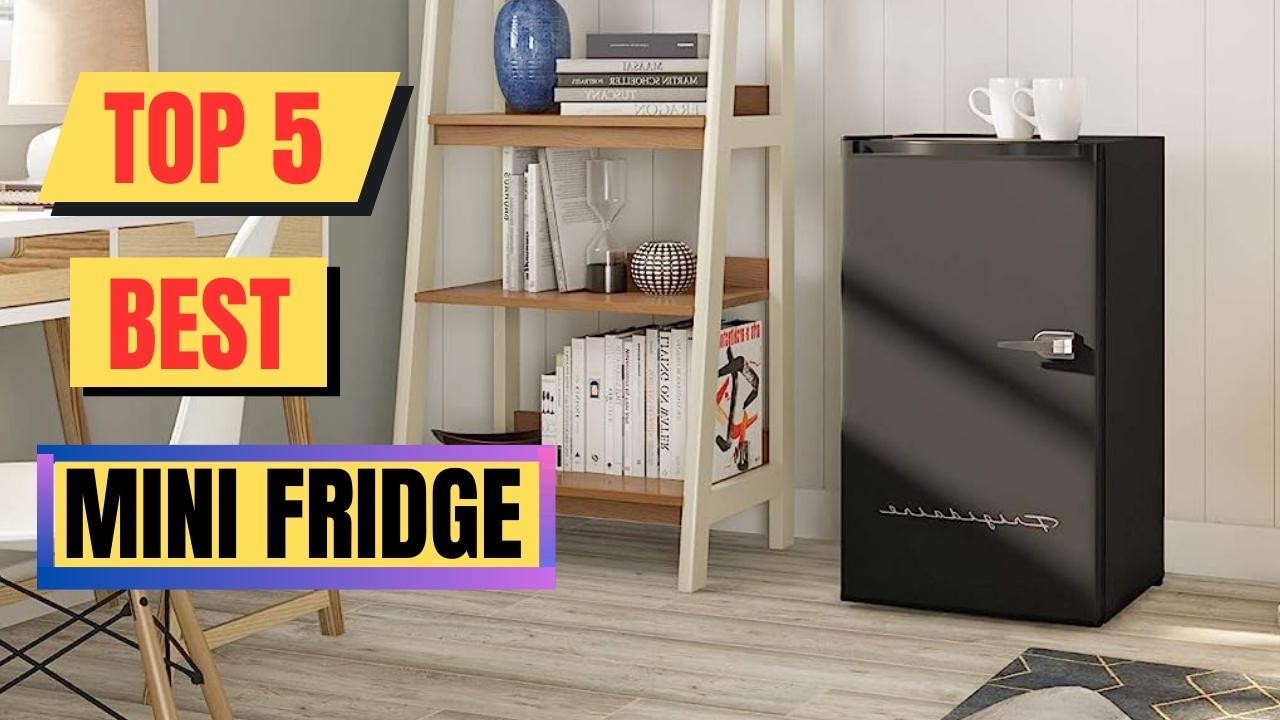 Top 5 Best Mini Fridge